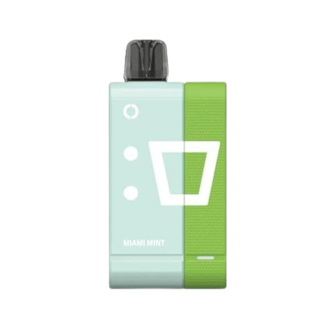 ELFBAR EW9000 KIT 5% – MIAMI MINT